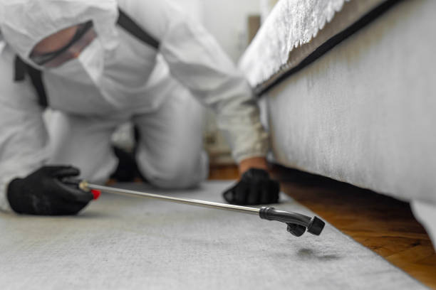 Professional Termite Control technician working in Sterling, CO